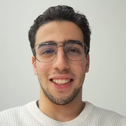 Samer Kouki