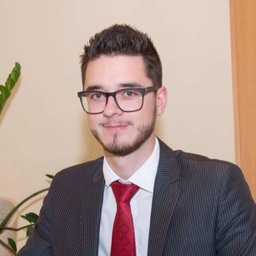 Ing. Thomas Vidounig