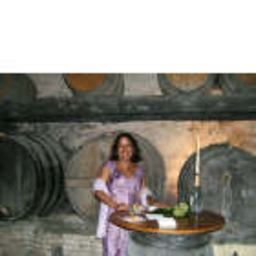 Minerva Salazar-Mendez