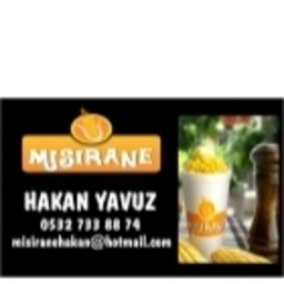 Hakan Yavuz