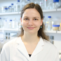 Dr. Skadi Lau