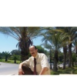 Abderrazak Memmiche's profile picture
