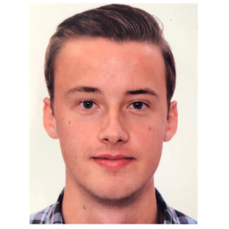 Fabian Schaub