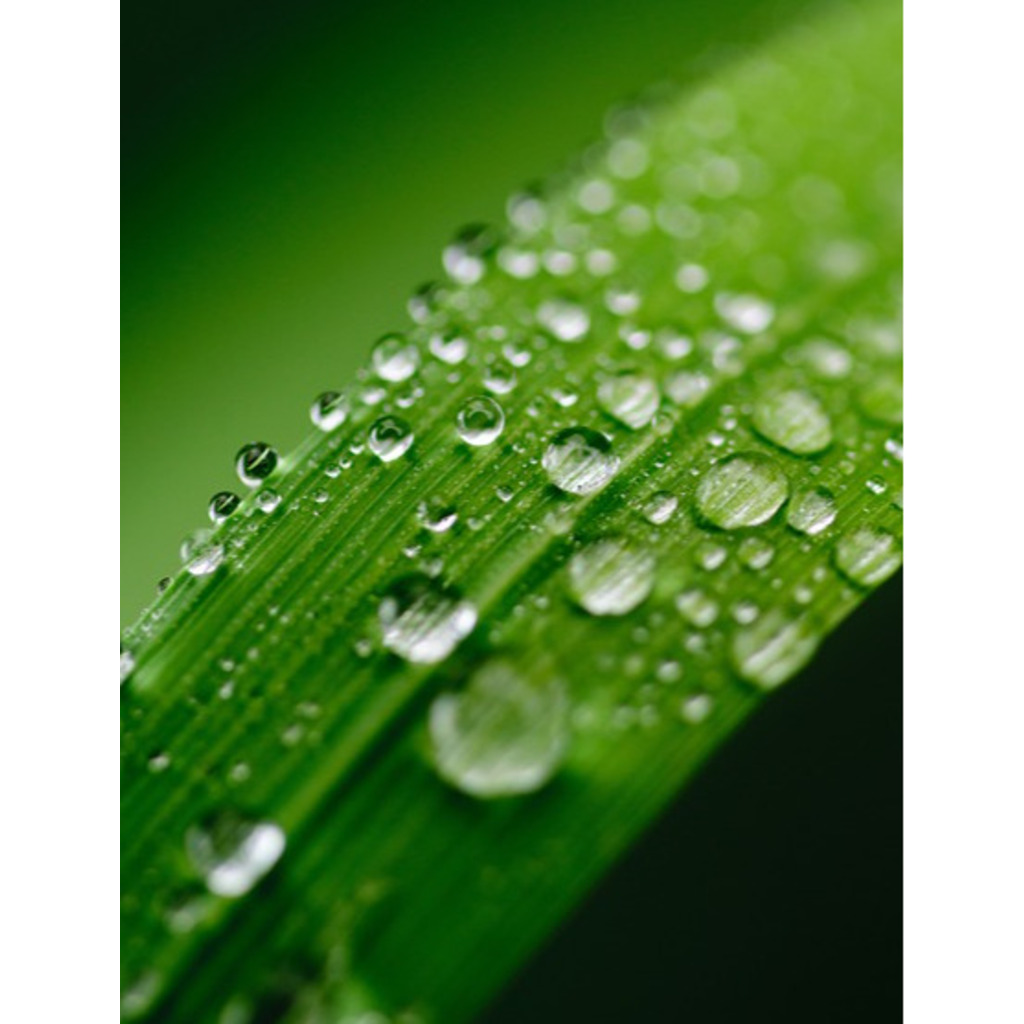 Isabel Alves Teacher ME XING