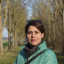 Malihe sharifi
