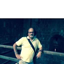 GREGORIO ORTIZ ORTIZ