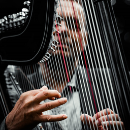 Friedrich M. Hacheney