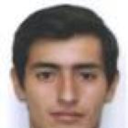 ROY FLORES