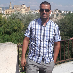 Maher GUERFIT