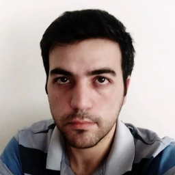 Ali Ghanamijaber