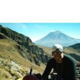 Pedro Guerra Zuniga
