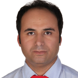 Hadi Rokhforouz