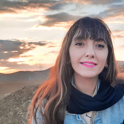 Niloufar Haji Shirzi
