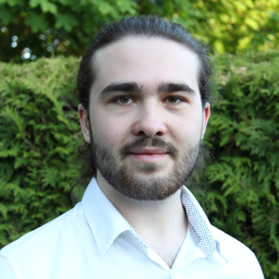 Radion Judov