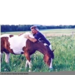 Josef Kopp