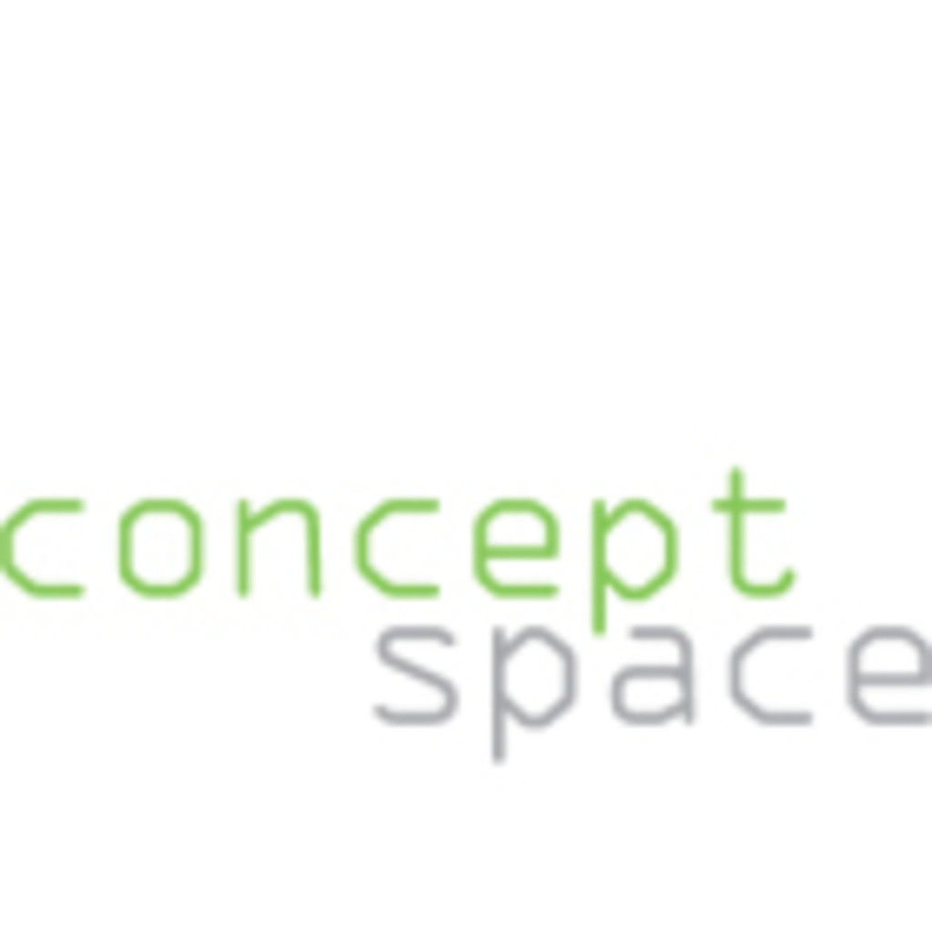 Philipp Chavanne Geschäftsführer Conceptspace OG XING