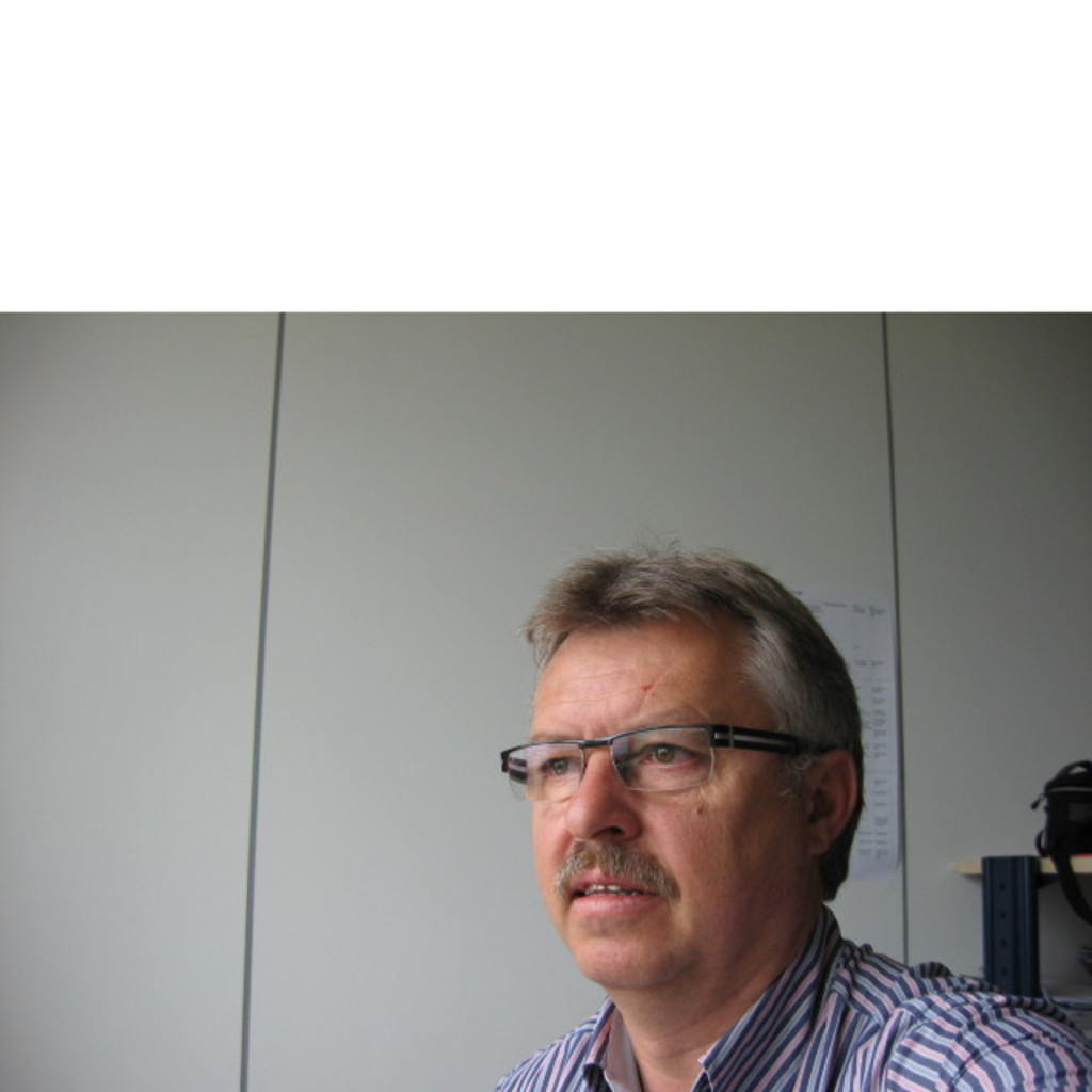 Horst Wagner Geschäftsführer EmiCo GmbH XING