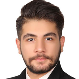 Mohammad Hosein Safarian