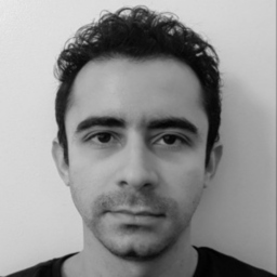 Dmitry L Rocha