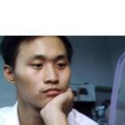 磊 刘