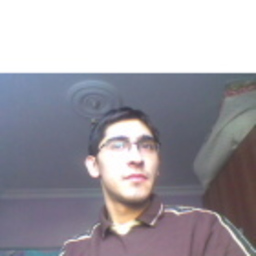 Özgür Işık