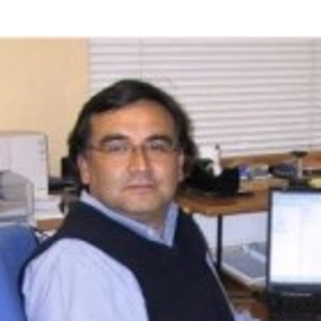 Ramón Salas Silva Gerente De Ventas Bafin S.p.A. XING