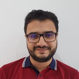 Anis Abdelkefi