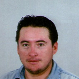 Prof. ROMEL ANDRADE