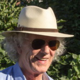 Martin Davis