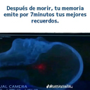 Pepe García jines