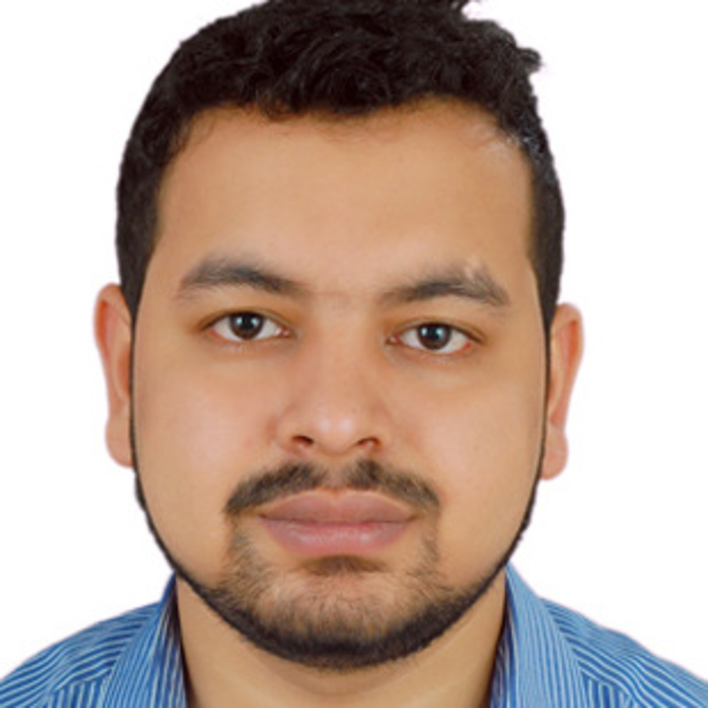 Dixit Satyam - Oracle Consultant - (Financial System Analyst) - AUTO1 ...