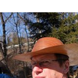 Bauchinger Robert