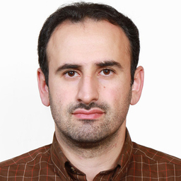 Hamed SalimiKenari