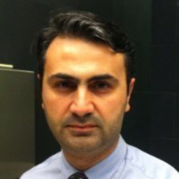 Ersin Dogan
