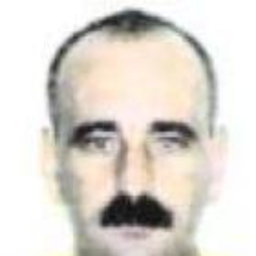 ioan albu
