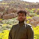 Payam Shapari
