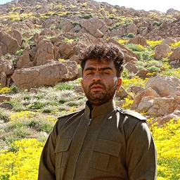 Payam Shapari