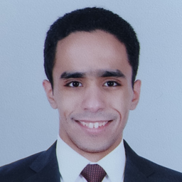 Ahmed Elsahn