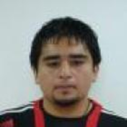 CHRISTIAN ARIEL GALLARDO CASTRO