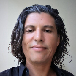 Dipl.-Ing. Raul Ribeiro