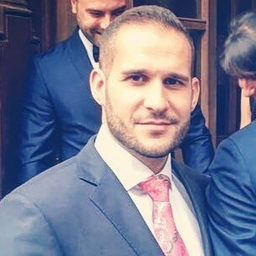 Nikola Raznatovic