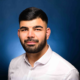 Milad Aydin's profile picture