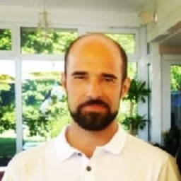 Joao Araujo's profile picture