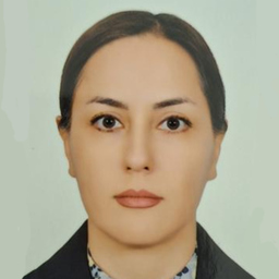 Razieh Foroughi Abari