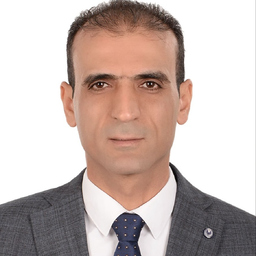 Amr Hassanein