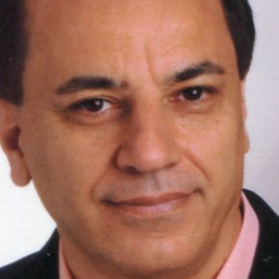 Dipl.-Ing. Seyed Reza Mostafavi