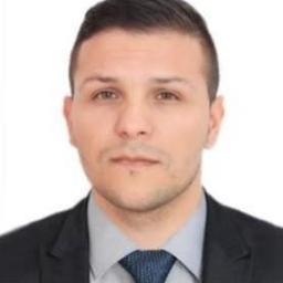 Ionut Mosnegutu