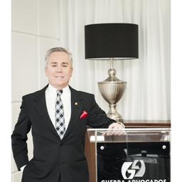 Prof. Dr. Luiz Guerra