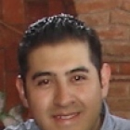 Gonzalo Alanis Garcia