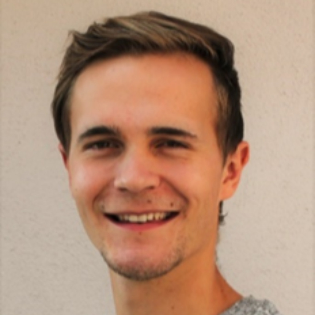 Michael Wagner Versuchsingenieur elektrische Antriebe ZF Group XING